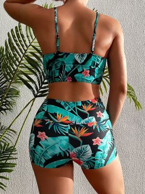 Бански Pontedera