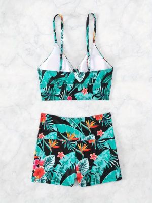 Бански Pontedera