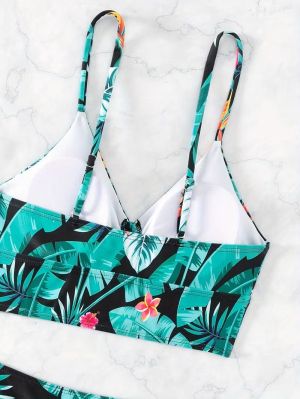 Бански Pontedera