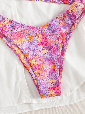 Бански Argentiera